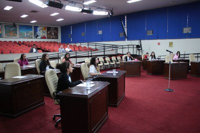 Câmara Mirim realiza 5ª sessão ordinária