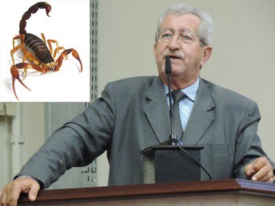 Vereador apresenta projetos para conscientizar sobre risco de escorpiões