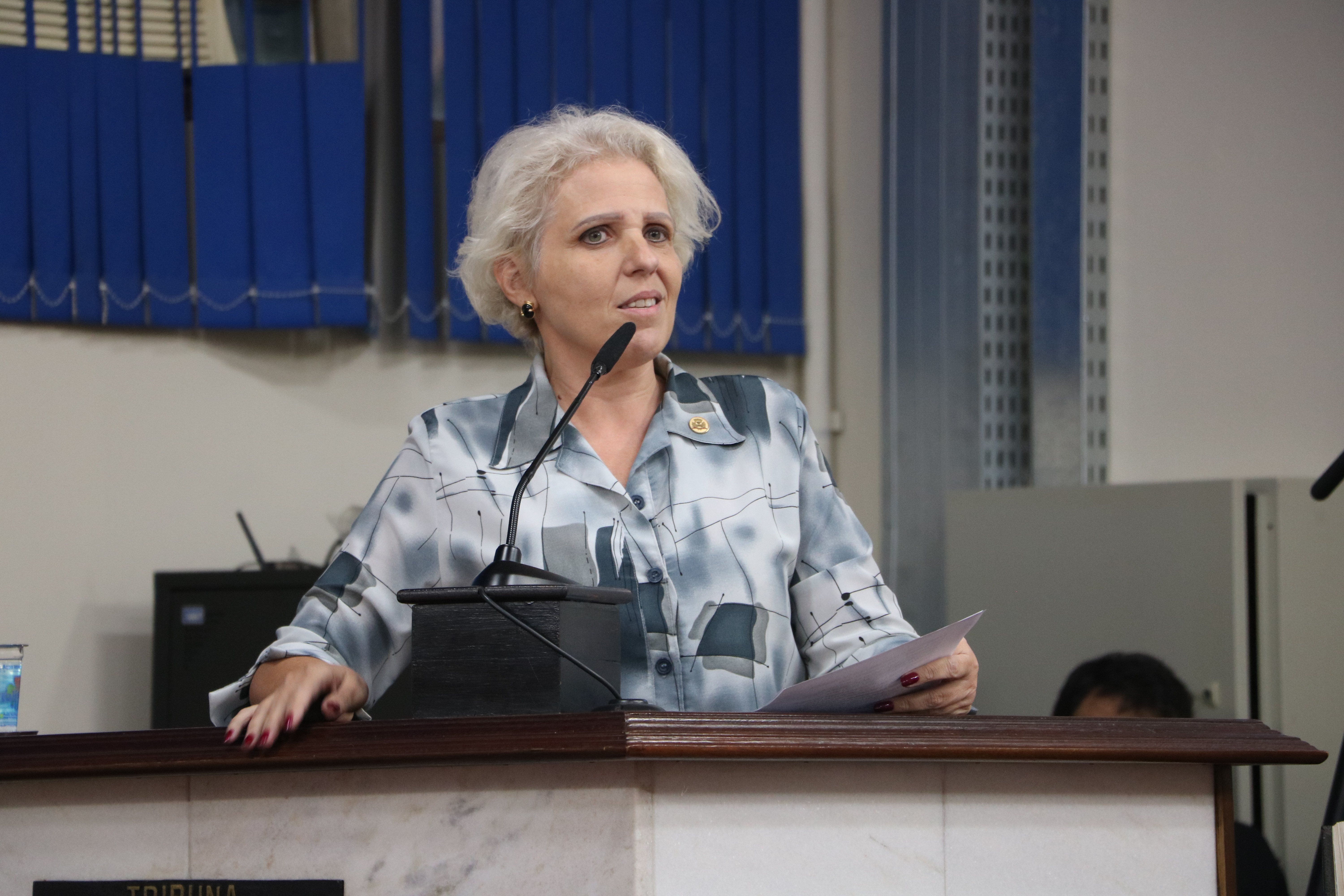 Vereadora Cláudia de Giuli preside a comissão que estuda a situação dos veículos de tração animal