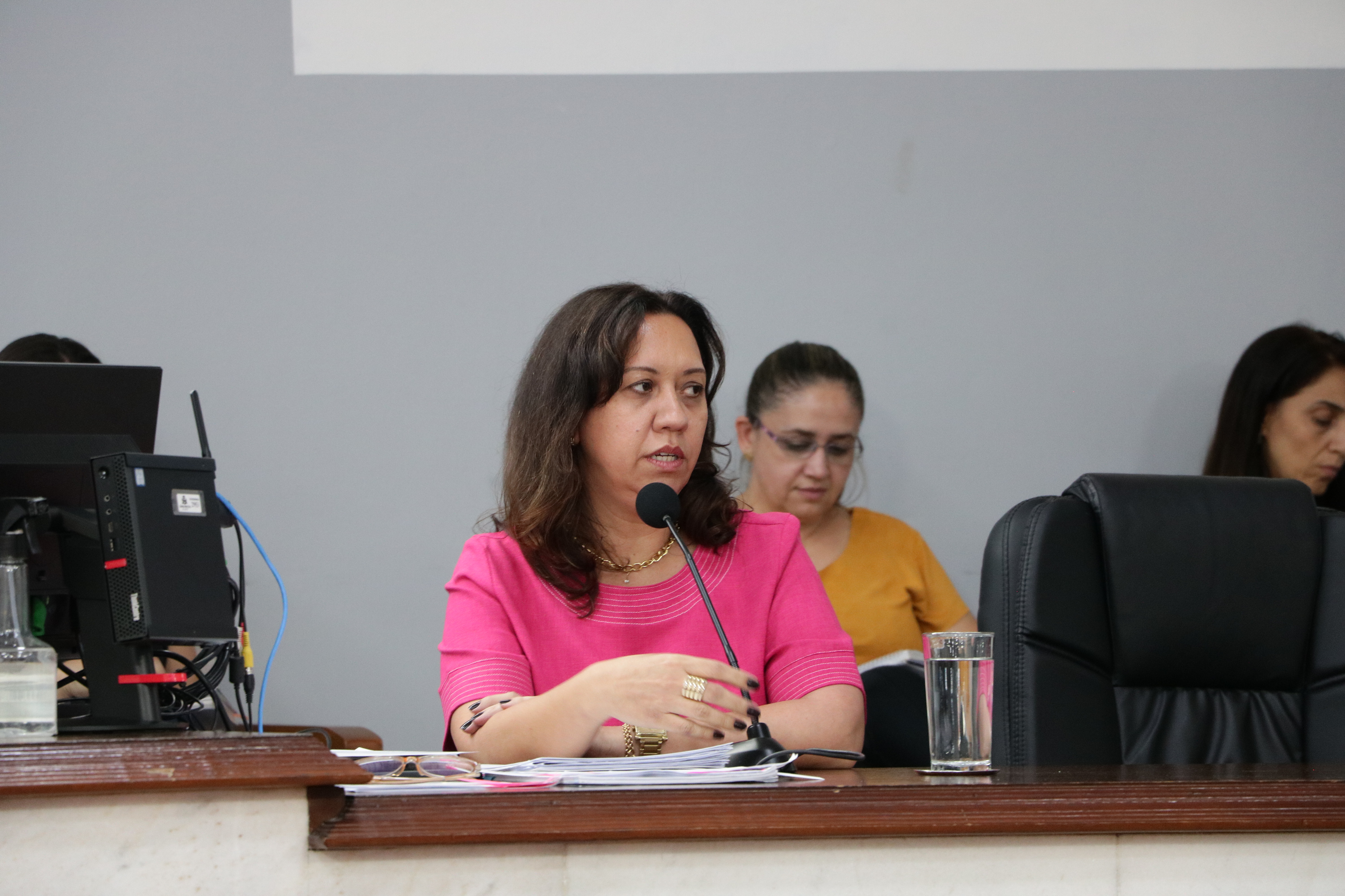 Secretária de Educação responde a questionamentos de vereadores, mães de alunos e profissionais da área