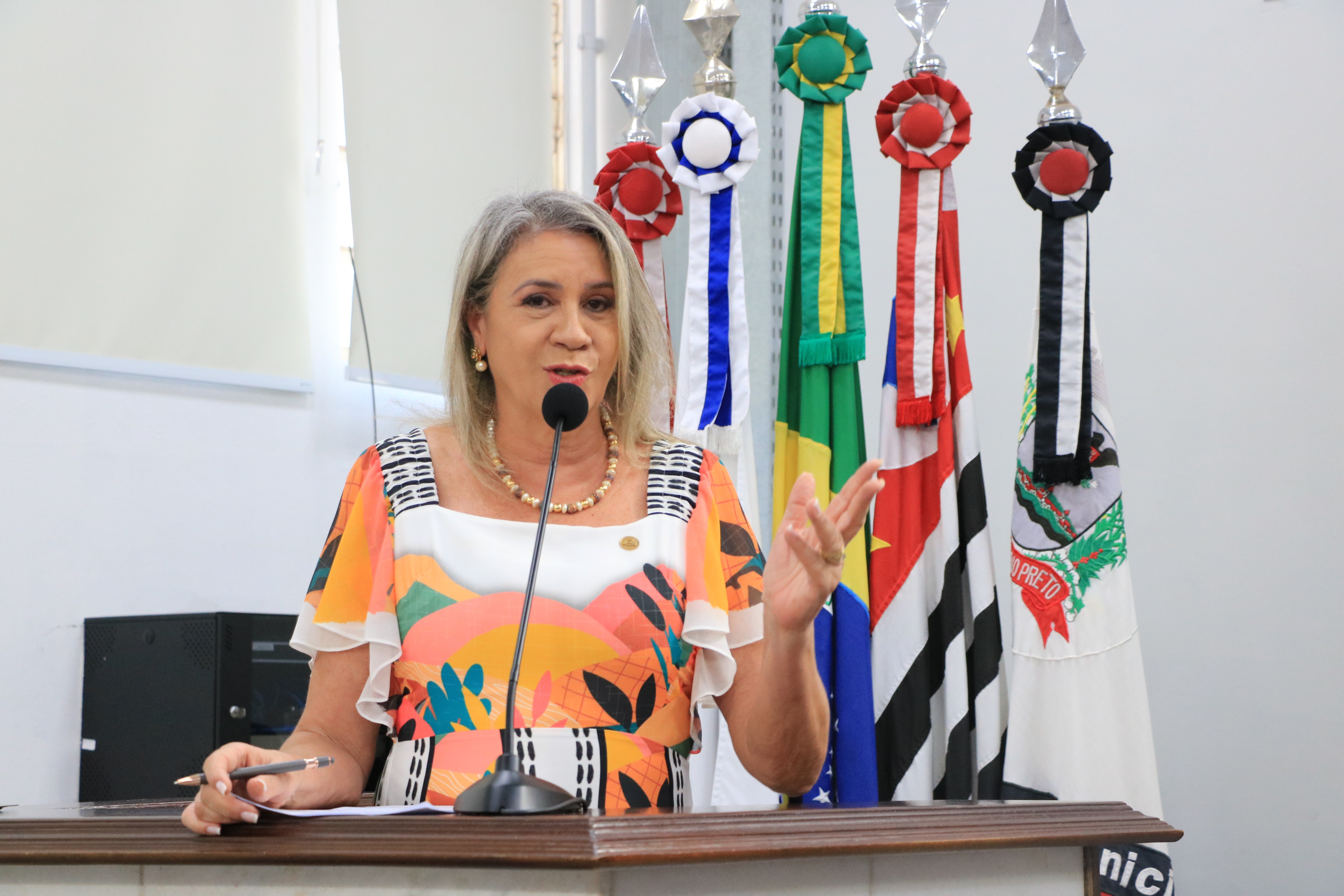 Câmara vota contratação de mulheres em situação de vulnerabilidade
