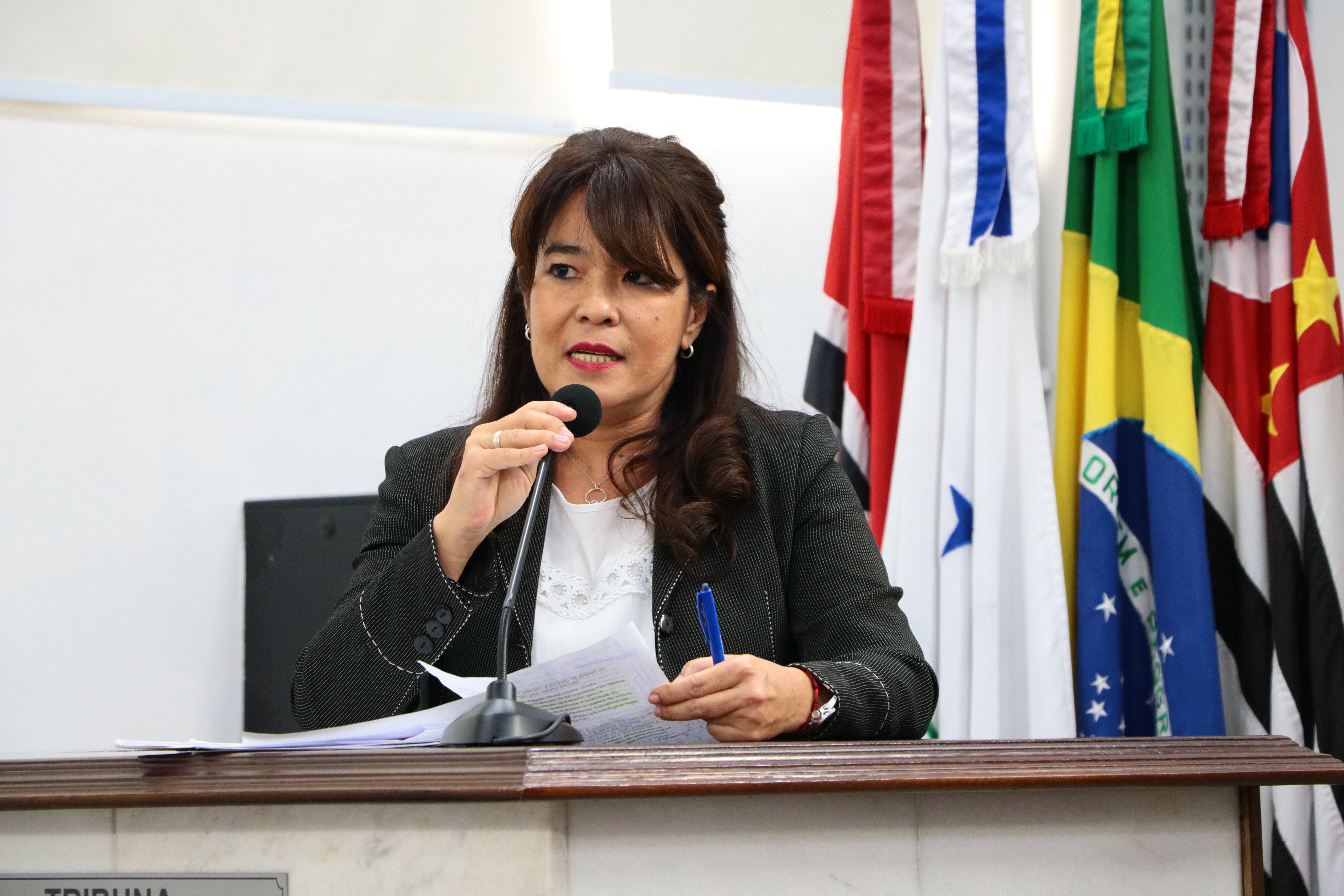 A professora Alessandra Benicchio Muramatsu usou a tribuna