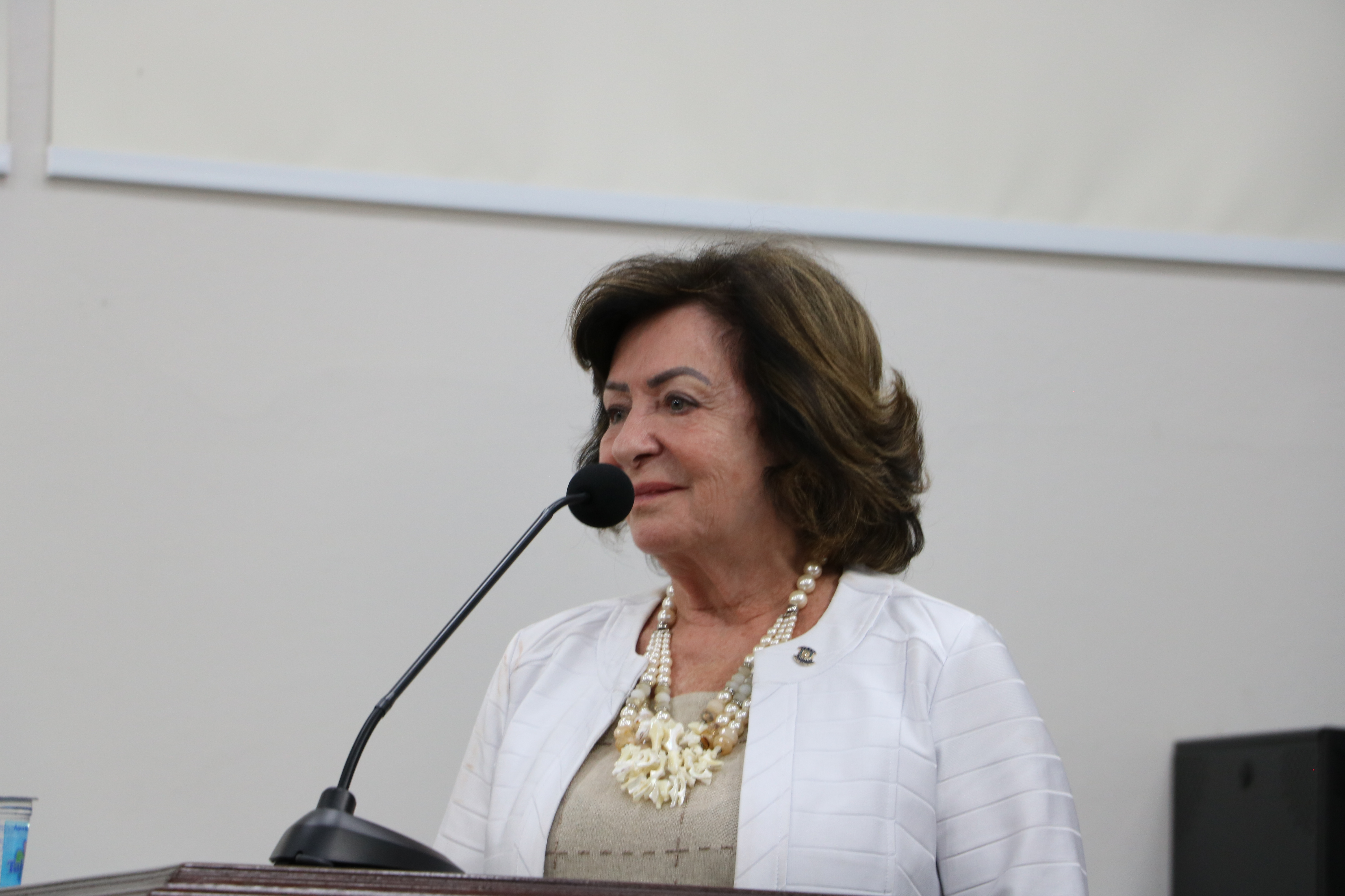Sueli Kaiser usou a tribuna para homenagear enfermagem
