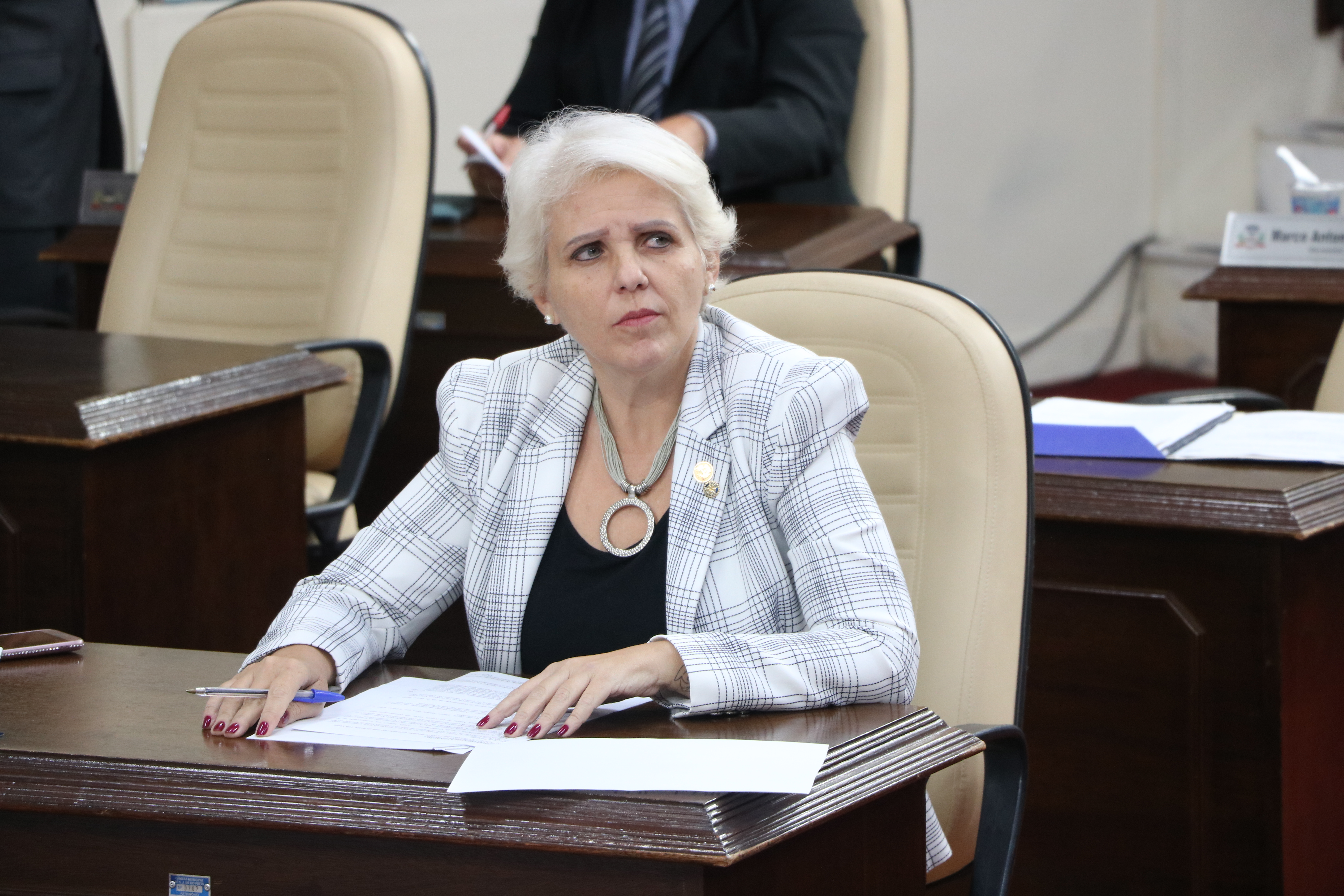 Vereadora Cláudia De Giuli também conduz, nesta quinta-feira, reunião sobre a Guarda Ambiental