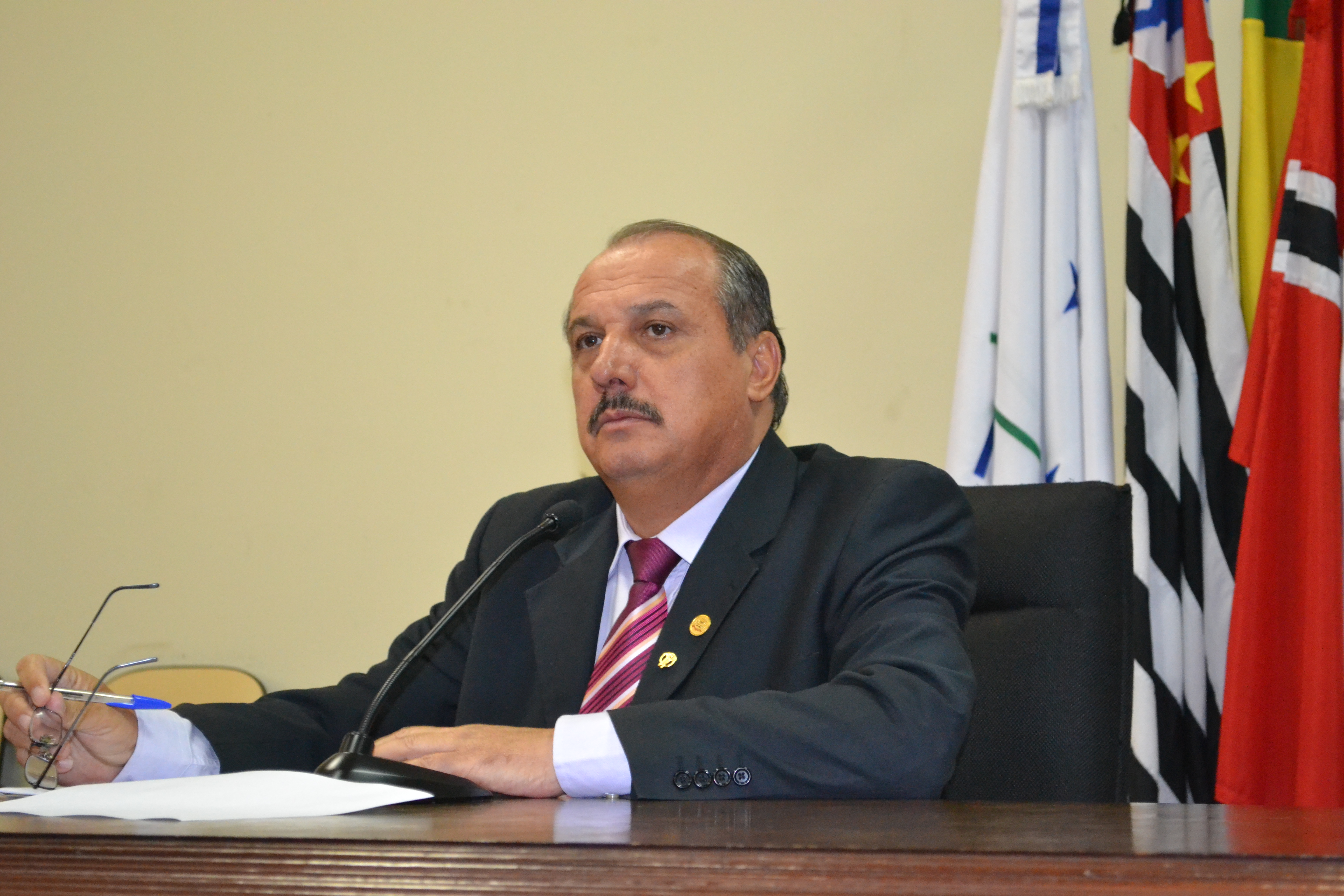 O projeto é de autoria do presidente Paulo Pauléra