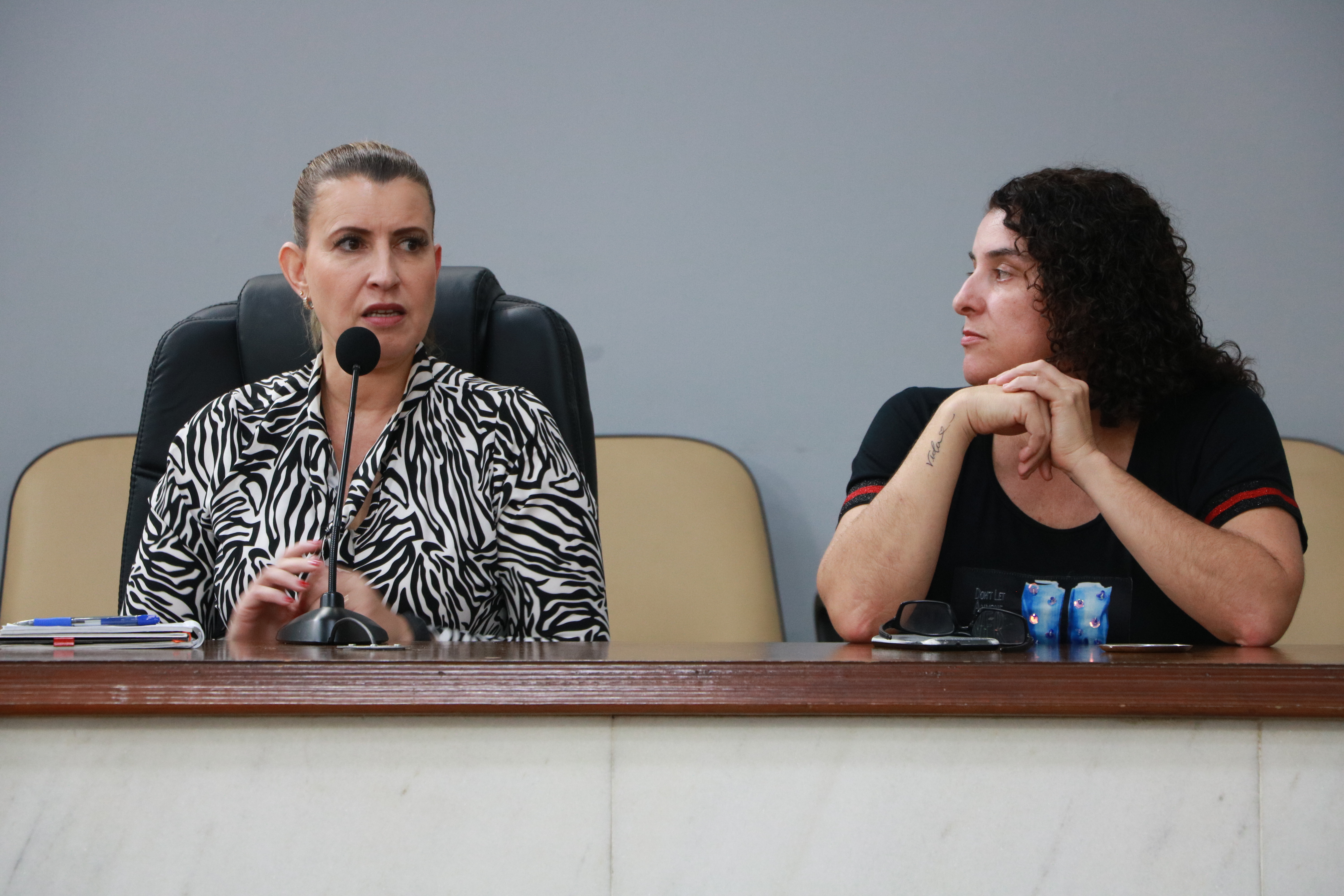Secretária Helena Marangoni e psicóloga Janaína Simão participam de reunião na Câmara