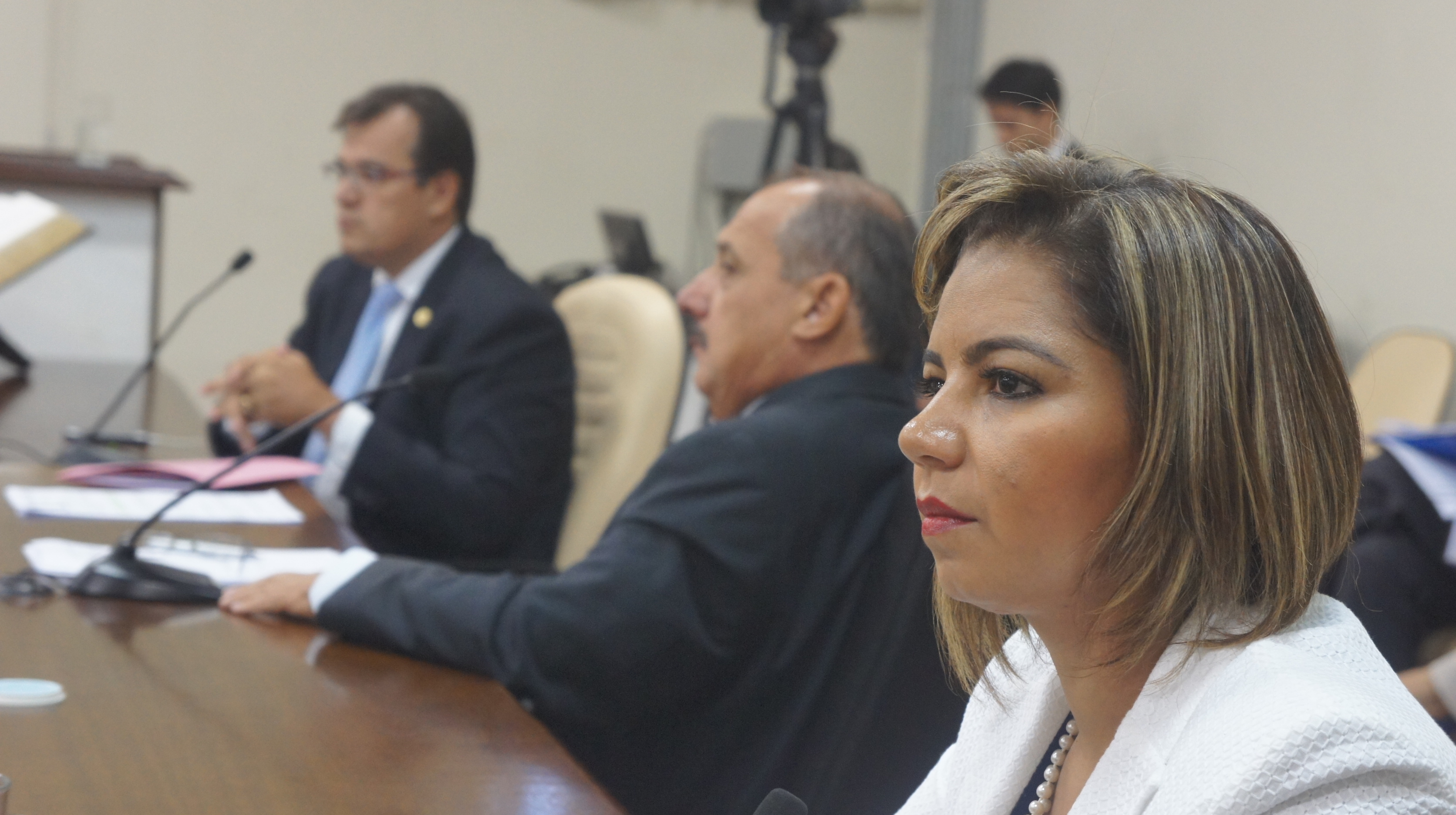 Projeto é de autoria da vereadora Karina Caroline