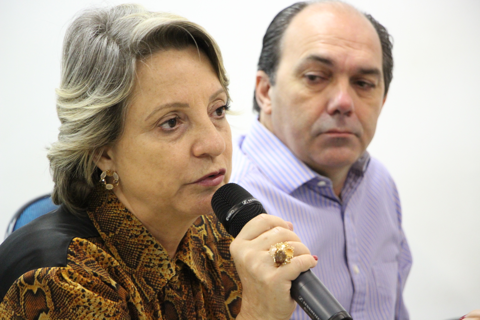 Secretários participaram de reunião da CEI