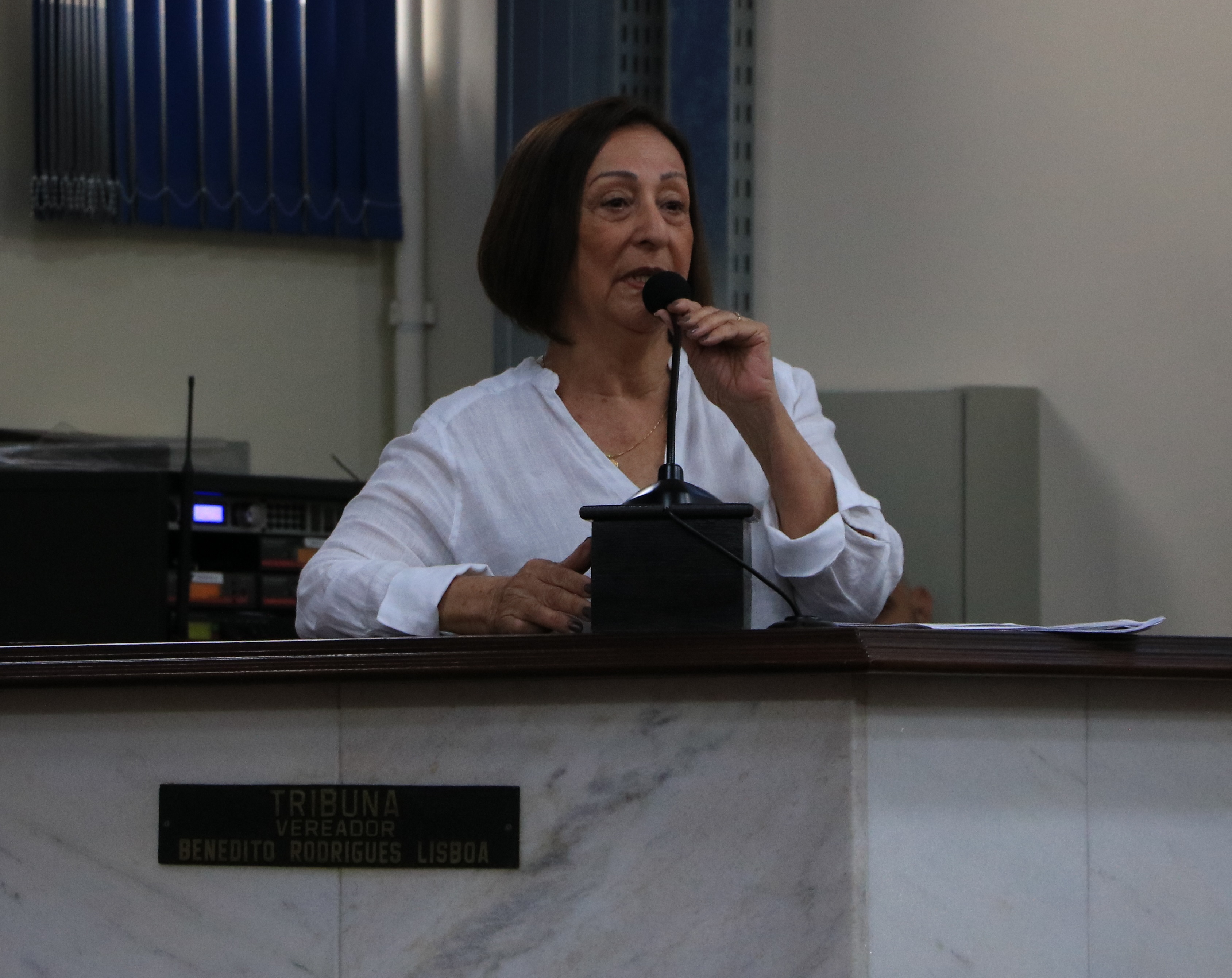 Secretária Maureen Cury preside evento em homenagem a lideranças negras