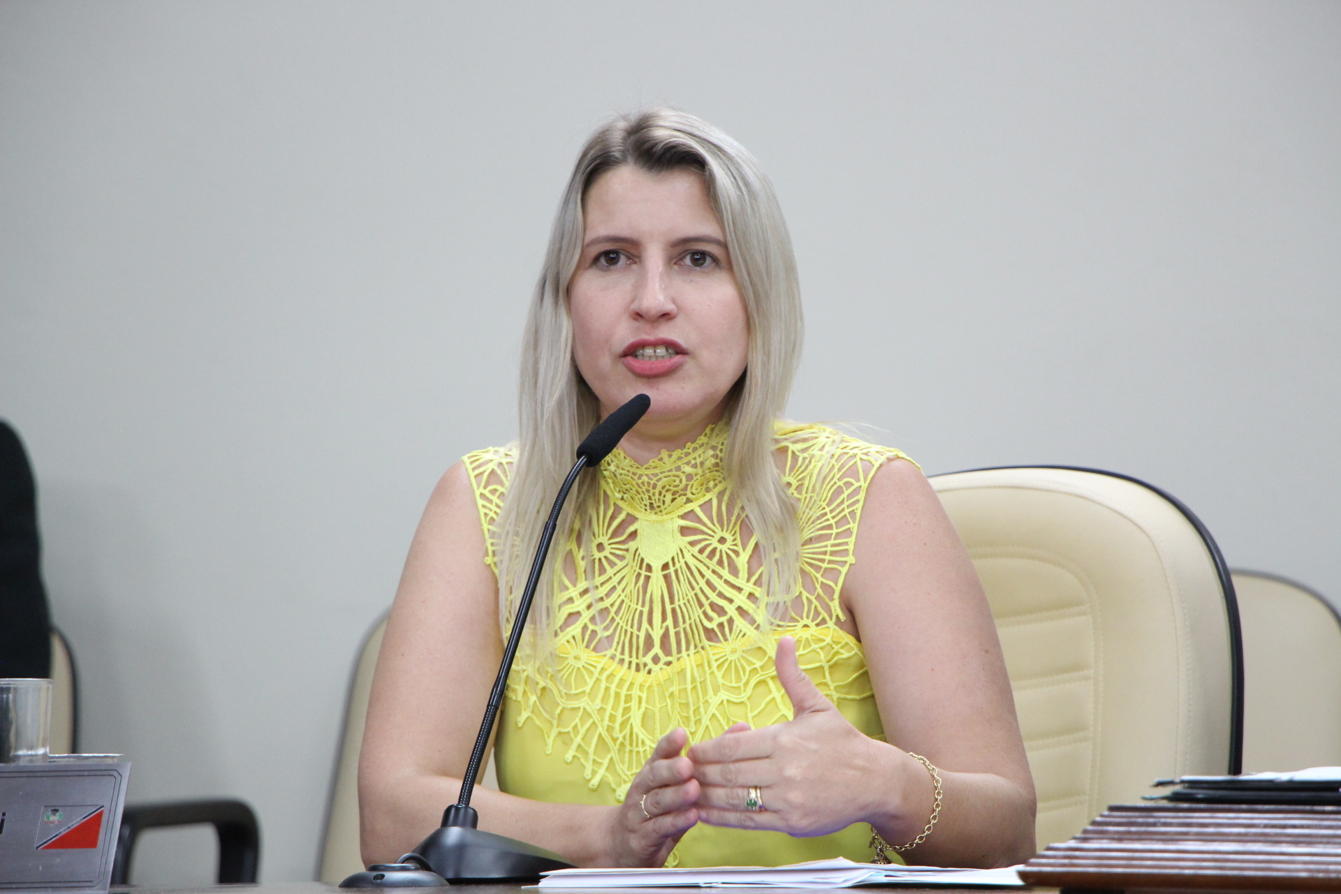 Secretária de Assistência Social participou da sessão