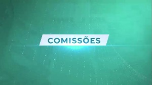 Comissão Especial de Inquérito para investigar as Empresas Terceirizadas com Contrato com o Município de São José do Rio Preto